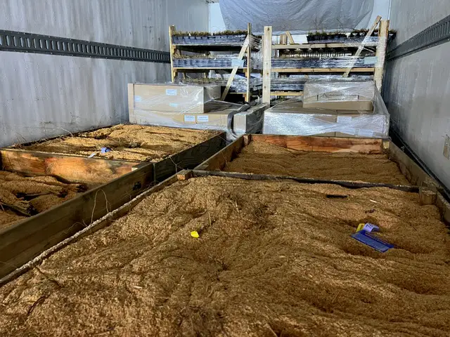 View of cargo organization